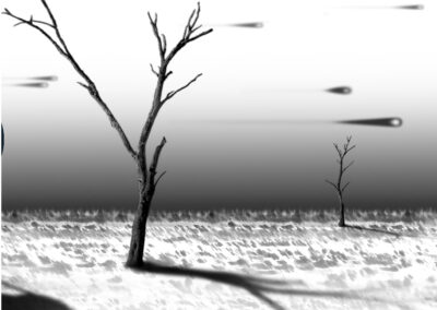 alberi in bianco e nero con ombre