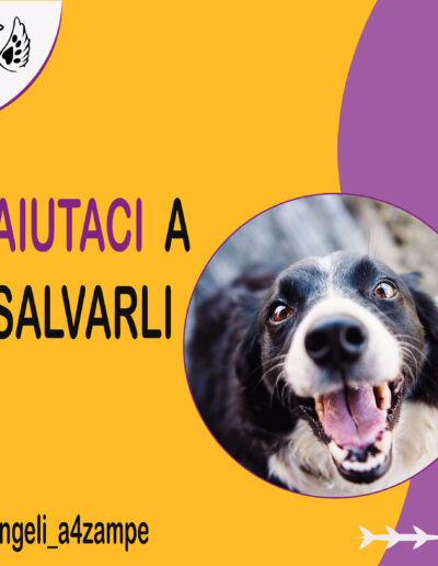 prima slide di un carosello