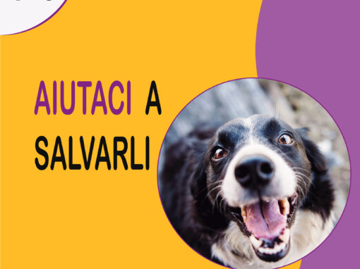 CAROSELLO