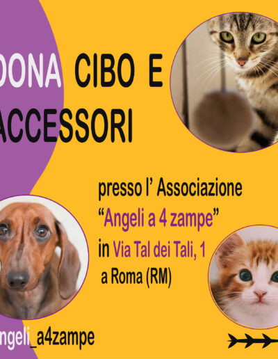 seconda slide di un carosello