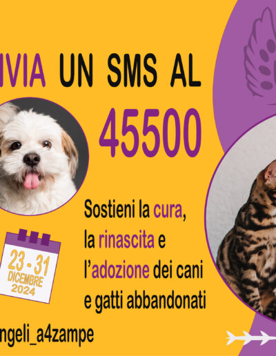 terza slide di un carosello