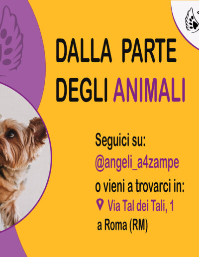 quarta slide di un carosello